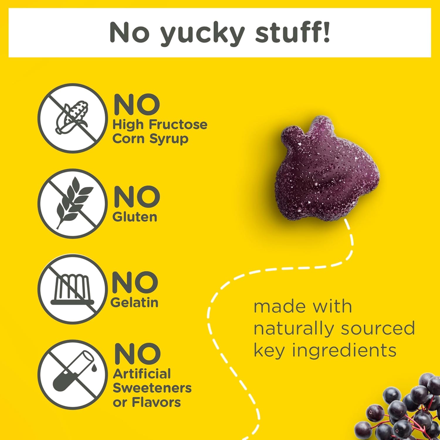 Zarbee’s Kids Elderberry Immune Support Supplement Gummies,